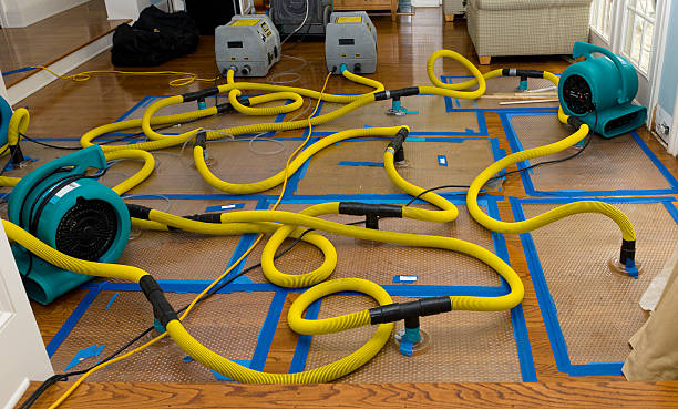 Professional Burst Pipe Water Damage technician working in Grant, AL